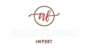 logooo_6_-removebg-preview